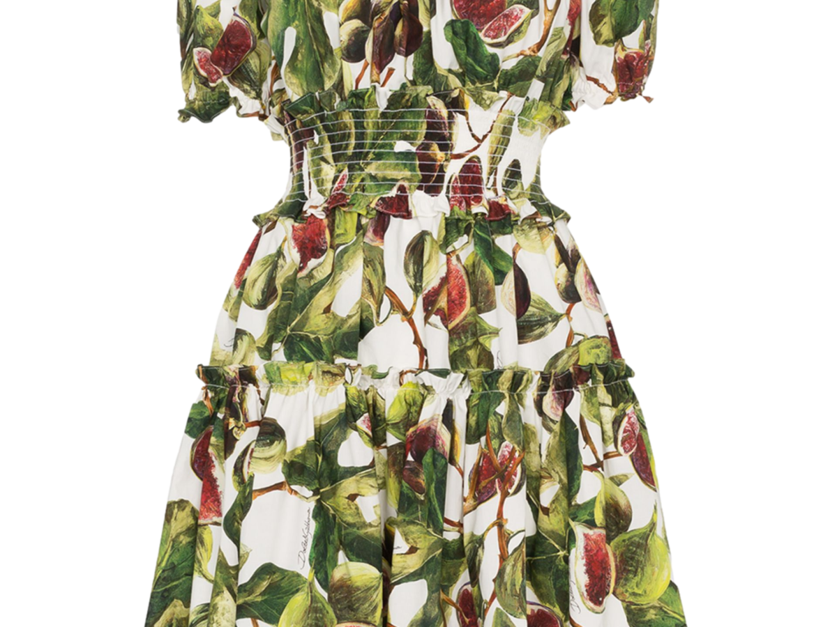 dolce and gabbana fig dress